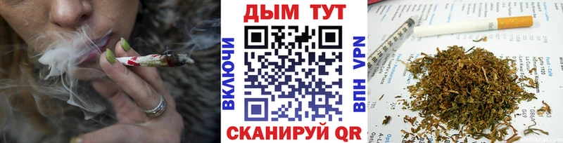 купить наркотик  Луховицы  ссылка на мегу маркетплейс  нарко площадка официальный сайт  Бошки марихуана конопля 